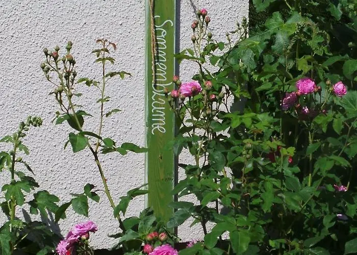 Ferienwohnung-sonnenblume * Grube