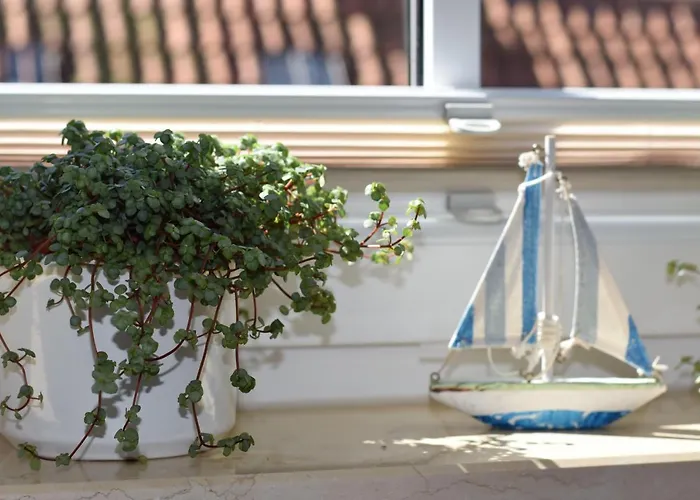 Ferienwohnung-sonnenblume * Grube