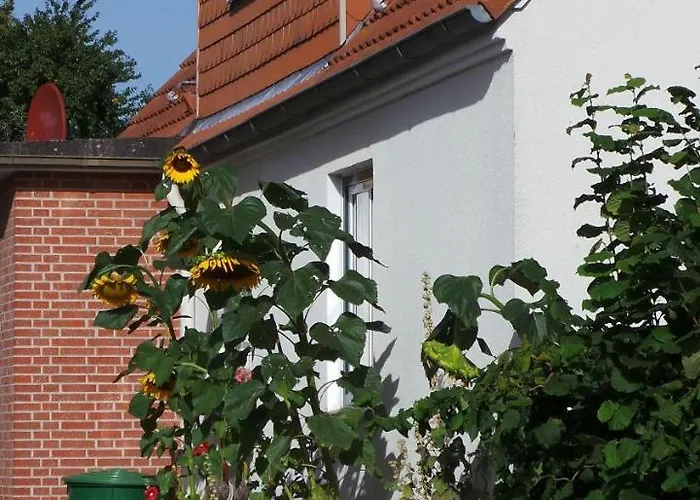 Lägenhet Ferienwohnung-sonnenblume *